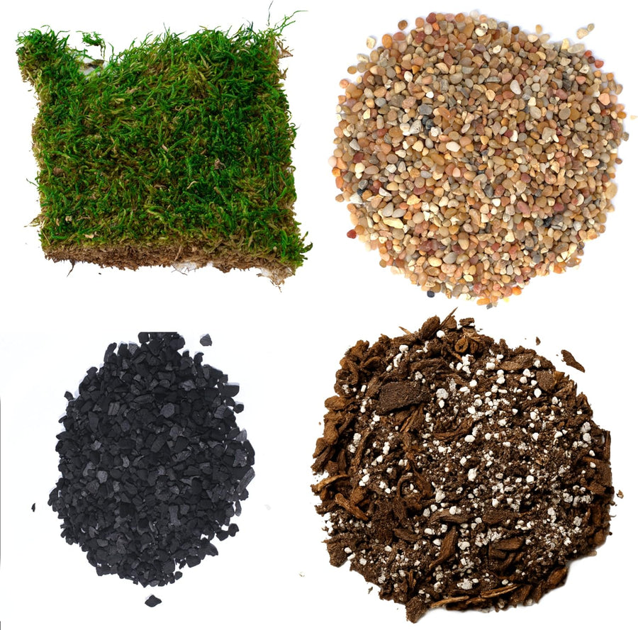 Succulent Planter Kit - Terrarium Kit with Succulent Soil, Gravel, Pebble, Moss,