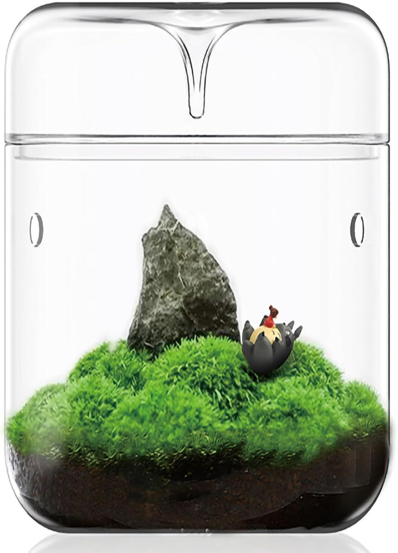 Small Glass Terrarium with Lid for Moss and Succulents