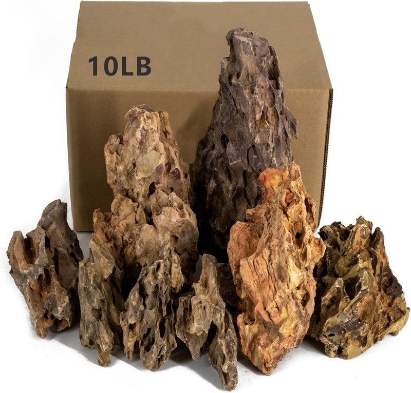 Dragon Stone for Aquascaping and Terrarium Decor