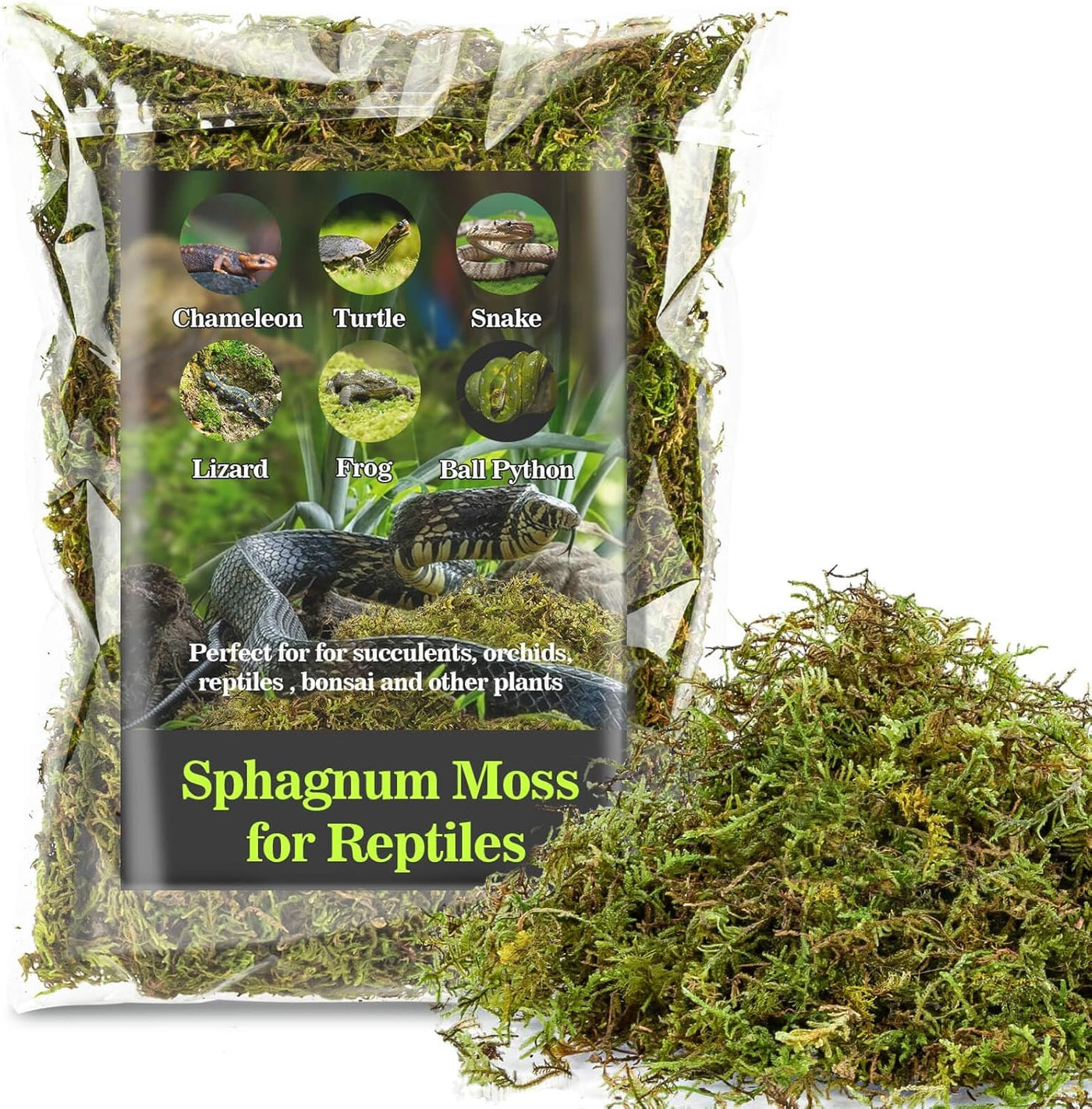 Sphagnum Moss for Reptile Habitats
