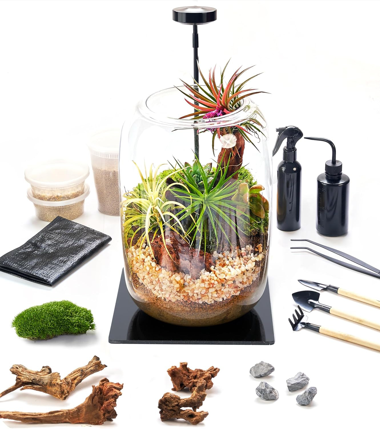 Terrarium Kit with LED Grow Light and 24-Piece Set