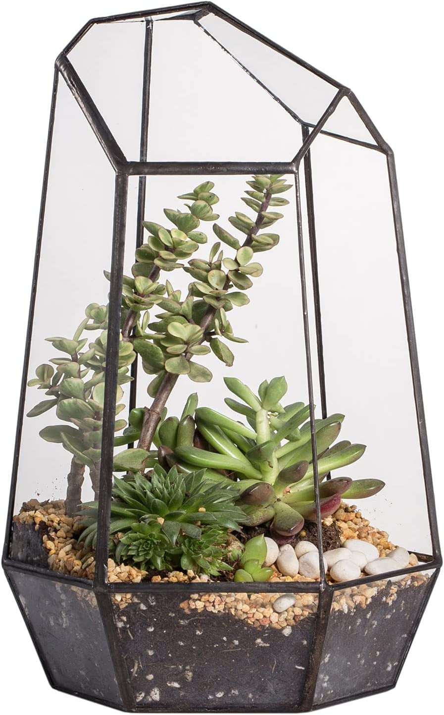 Geometric Glass Terrarium for Small Succulents and Cacti