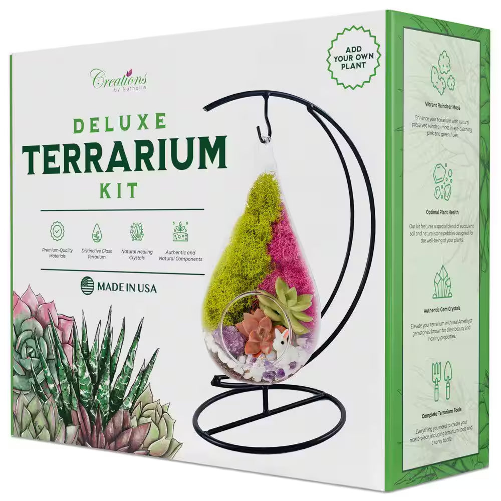 DIY Succulent Terrarium Kit with Glass Teardrop and Stand