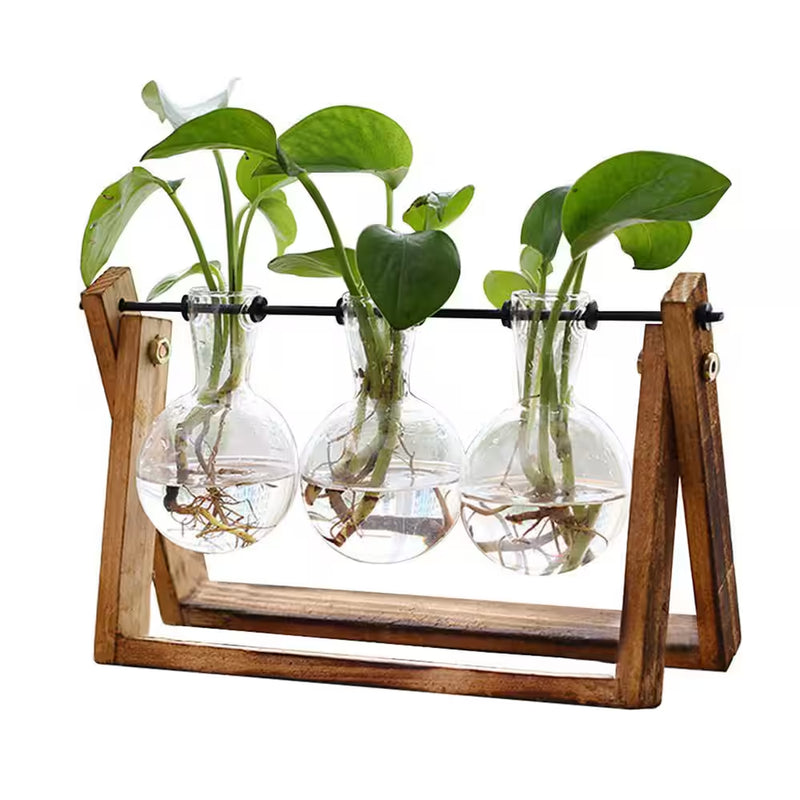 Glass and Metal Terrarium with Wooden Stand
