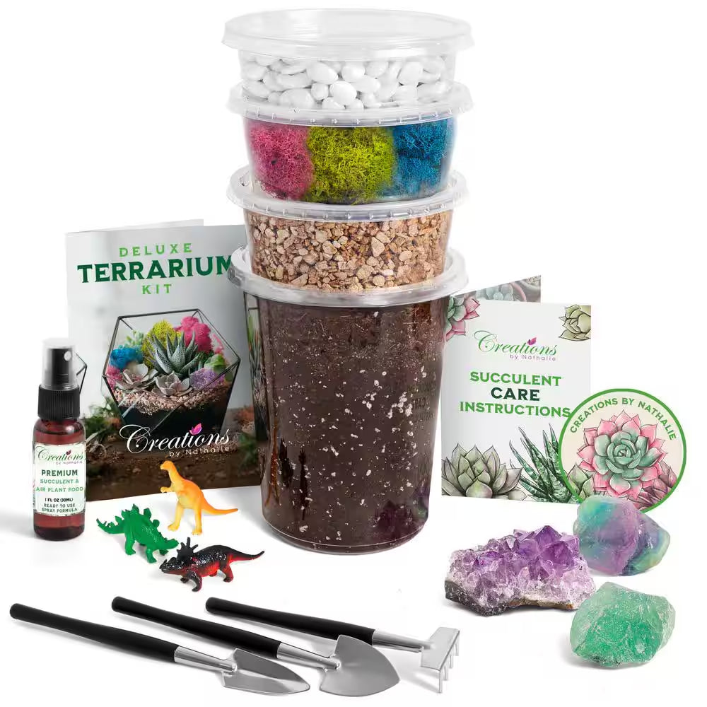 Succulent and Cactus Terrarium DIY Starter Kit