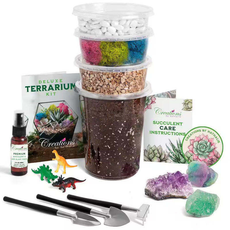 Succulent and Cactus Terrarium DIY Starter Kit