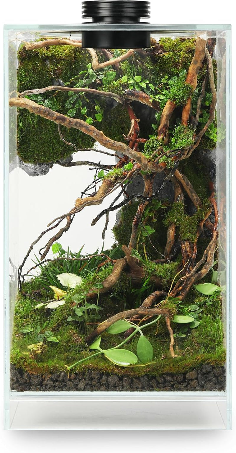 Desktop Glass Terrarium with LED Grow Light