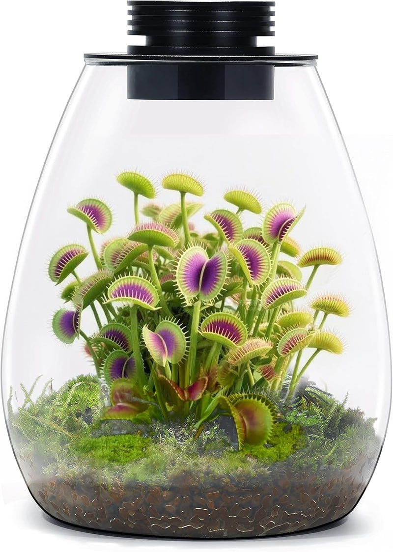 Desktop Glass Terrarium with Adjustable Grow Light