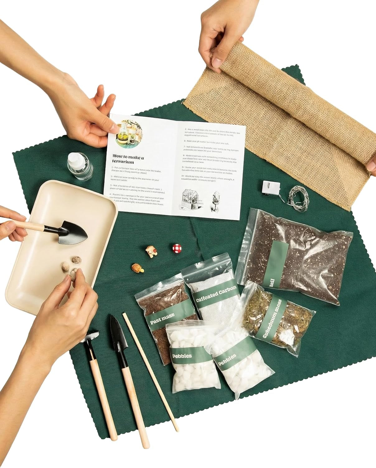DIY Terrarium Kit with Soil, Moss, and Tools