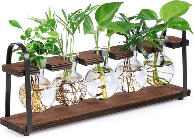 Retro Plant Propagation Station with Wooden Stand