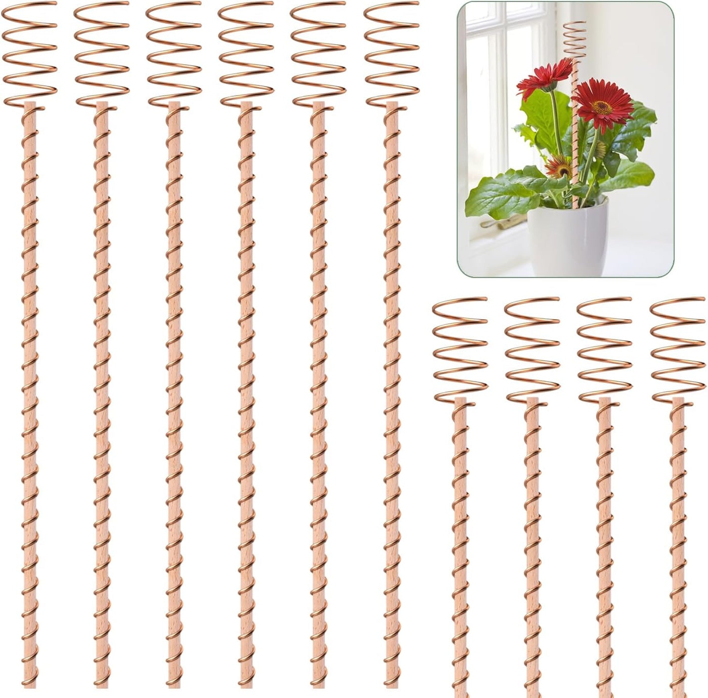 Electroculture Copper Coil Antennas with Wooden Stakes